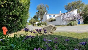Un quartier résidentiel avec un bâtiment blanc, une borne d’incendie rouge et des fleurs violettes au premier plan.