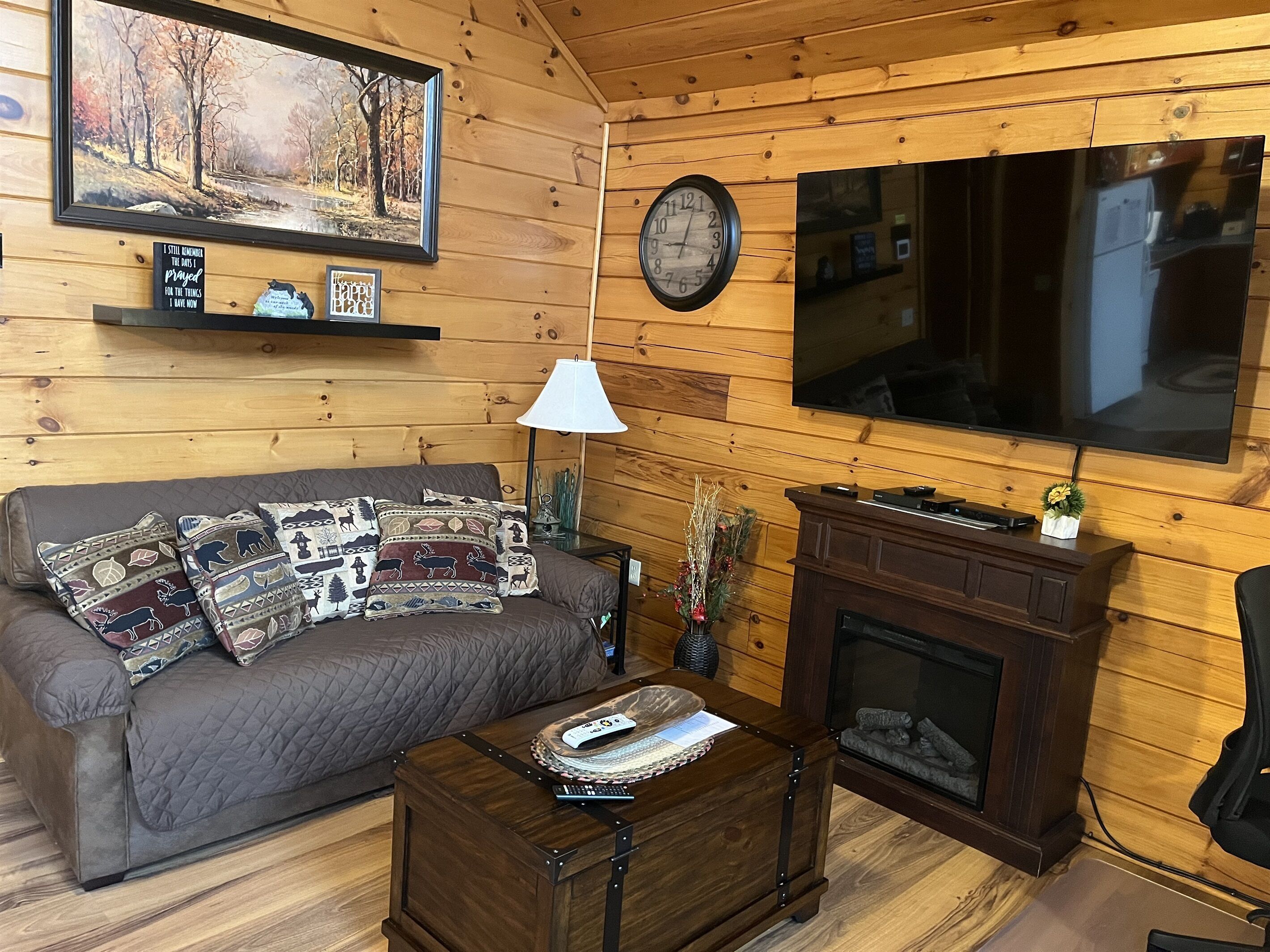 Smart TV, fireplace, DVD player, video library