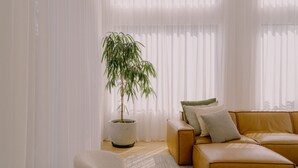 A living room with a large potted plant, a leather sofa, and sheer curtains. - Monument House (Daylesford)