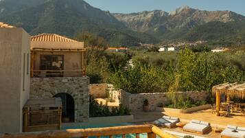 Master Suite | Plunge Pool | Terrace/patio