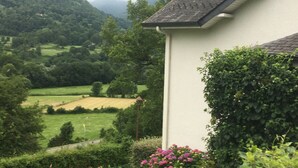 A house with a sloped roof, surrounded by lush greenery and fields. - Large, comfortable house with exceptional mountain views (Laruns)