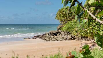 Uma praia com águas azul-claras, areal arenoso e vegetação verde.