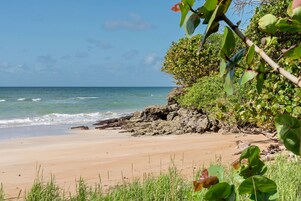 Uma praia com águas azul-claras, areal arenoso e vegetação verde.