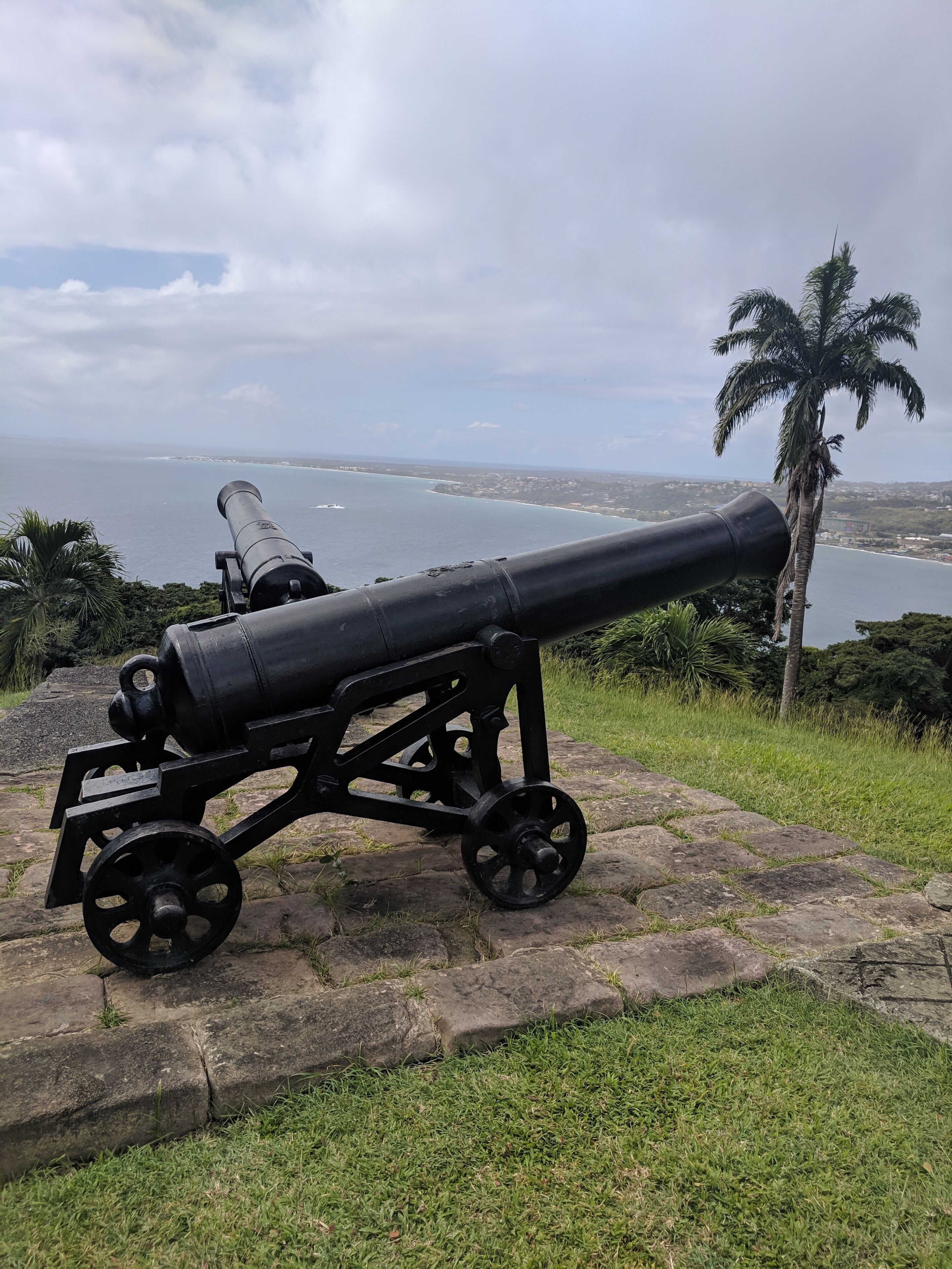 A cannon on a stone platform with a view of the ocean and a palm tree in the background.