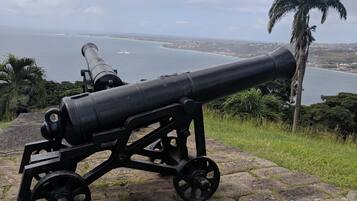A cannon on a stone platform with a view of the ocean and a palm tree in the background.