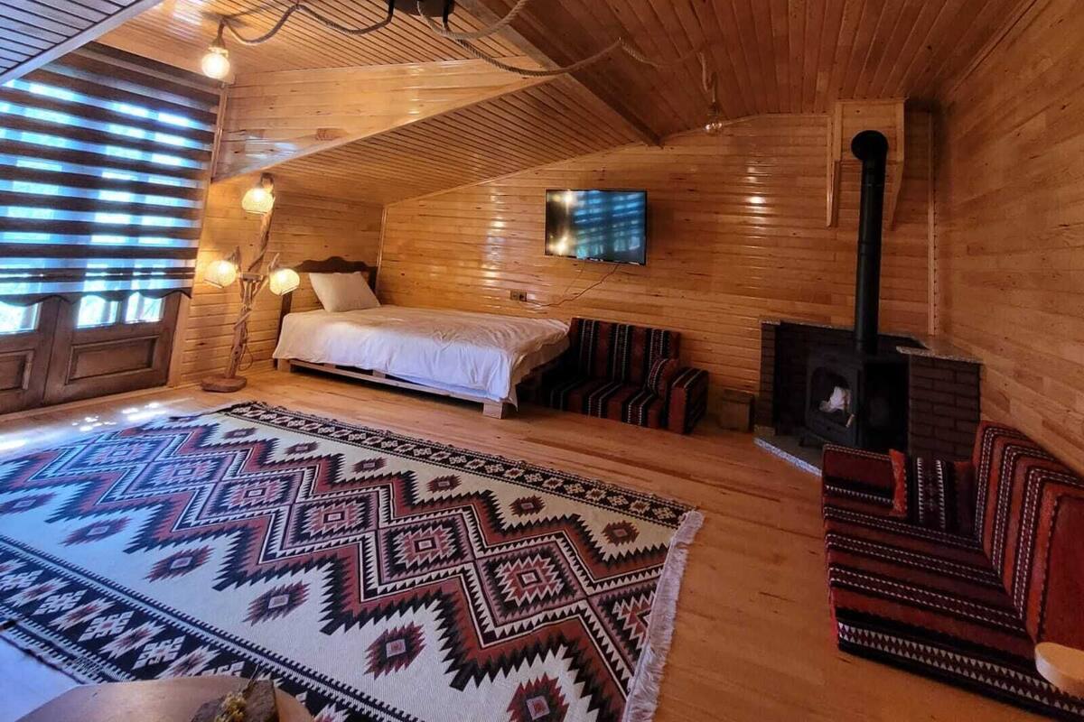 A cozy log cabin bedroom with a bed, a TV, a fireplace, and a patterned rug.