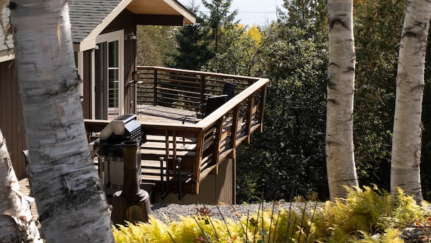 Une cabane dotée d’une terrasse donnant sur un lac, entourée de bouleaux et de fougères.