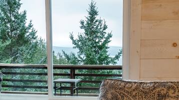 TV connectée, cheminée, livres