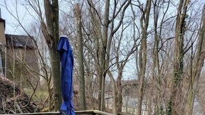A wooden deck with a glass table and four chairs, surrounded by trees. - Charming 1-BR Apartment Near Amazing Views in Pittsburgh! (Pittsburgh)