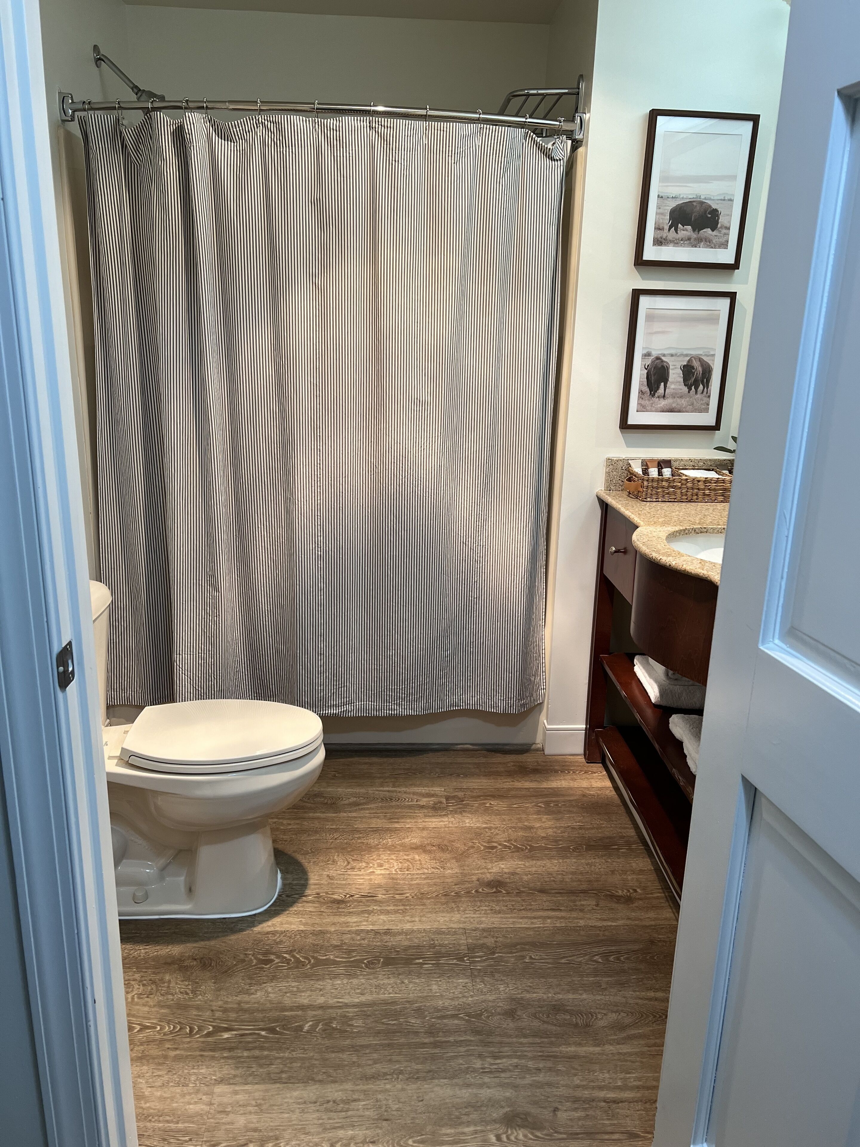 A bathroom with a striped shower curtain, a toilet, a sink with a granite countertop, and framed pictures on the wall.