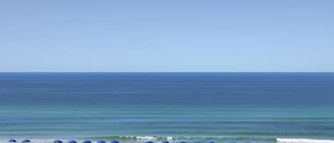 Una playa con hileras de sombrillas azules y sillas de playa mirando al océano.