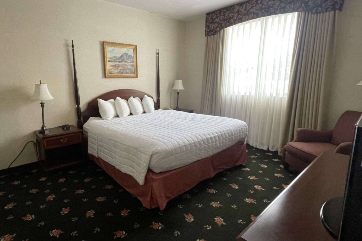 Une chambre d’hôtel avec un lit, un bureau, une chaise et un tableau au mur.