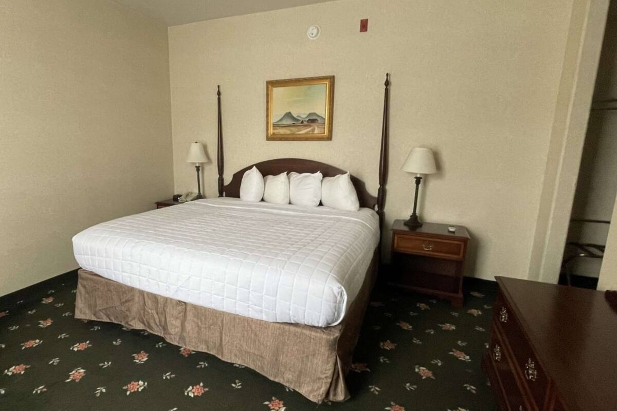 Une chambre d’hôtel avec un grand lit, deux tables de chevet avec des lampes, un tableau au mur et une moquette à motifs floraux.