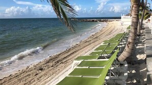 A beach with rows of green lounge chairs and palm trees. - P14 - Charming 2 Bedroom, 2 bath waterfront duplex with Cabana Club. (Key Colony Beach)