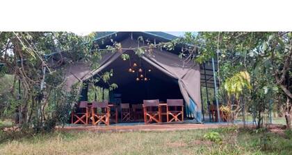 Tents in Masai Mara 2