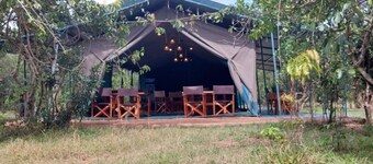 Tents in Masai Mara 2