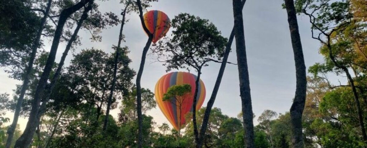 Imagen de perfil del propietario o de la propietaria