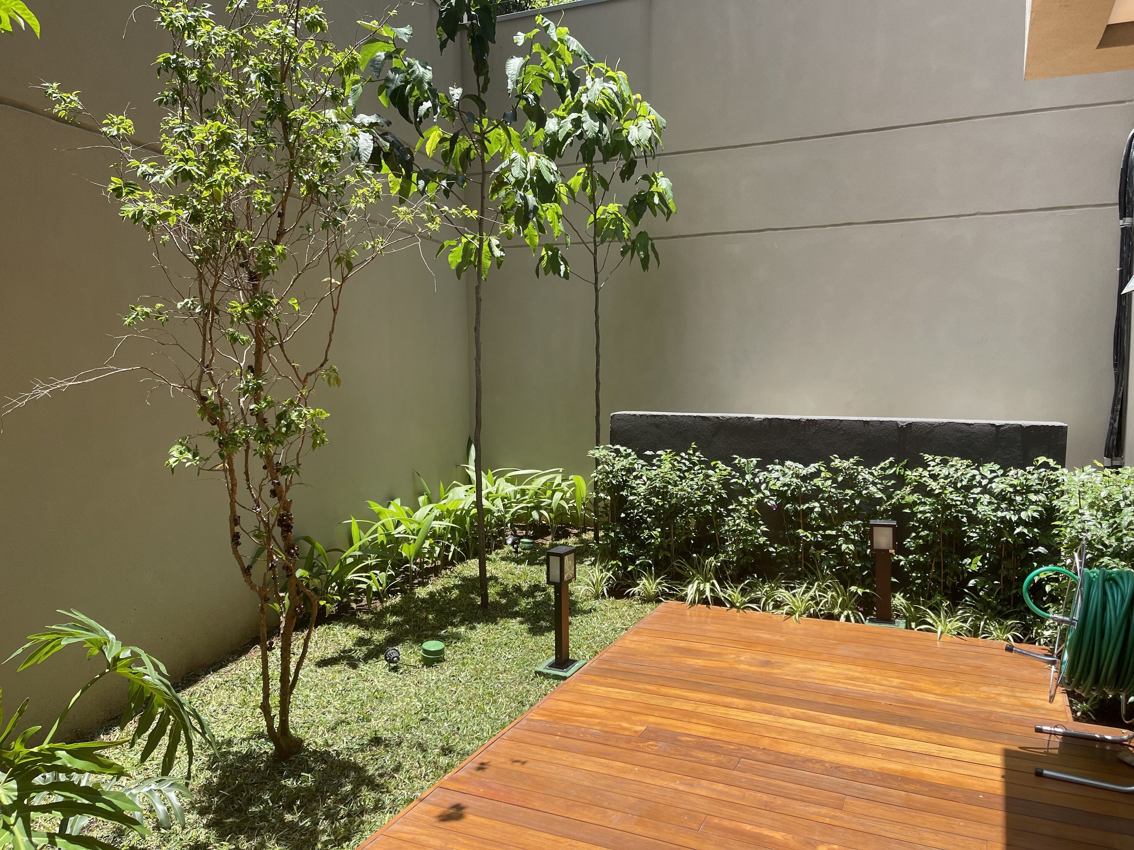 Foto - Cozzy Suites Paraíso Hotel