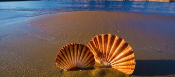 Room in Lopar with Terrace, Air condition, WIFI (3719-3)