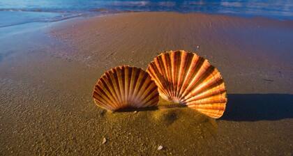 Room in Lopar with Terrace, Air condition, WIFI (3719-6)