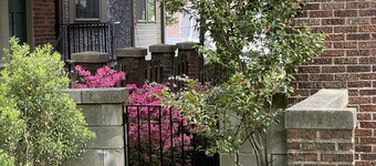 
Big and Comfy in Forest Hills\Cleveland Park by the Metro & Zoo! King Size Bed!