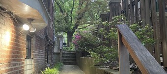 
Big and Comfy in Forest Hills\Cleveland Park by the Metro & Zoo! King Size Bed!