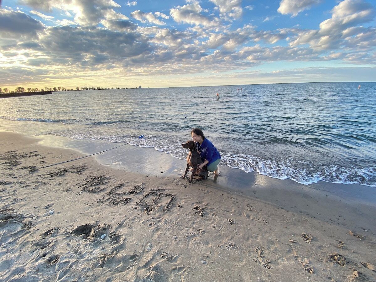 Eine Strandansicht mit einer Person und einem Hund nahe am Wasser.