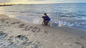 Escena de playa con una persona y un perro cerca de la orilla.