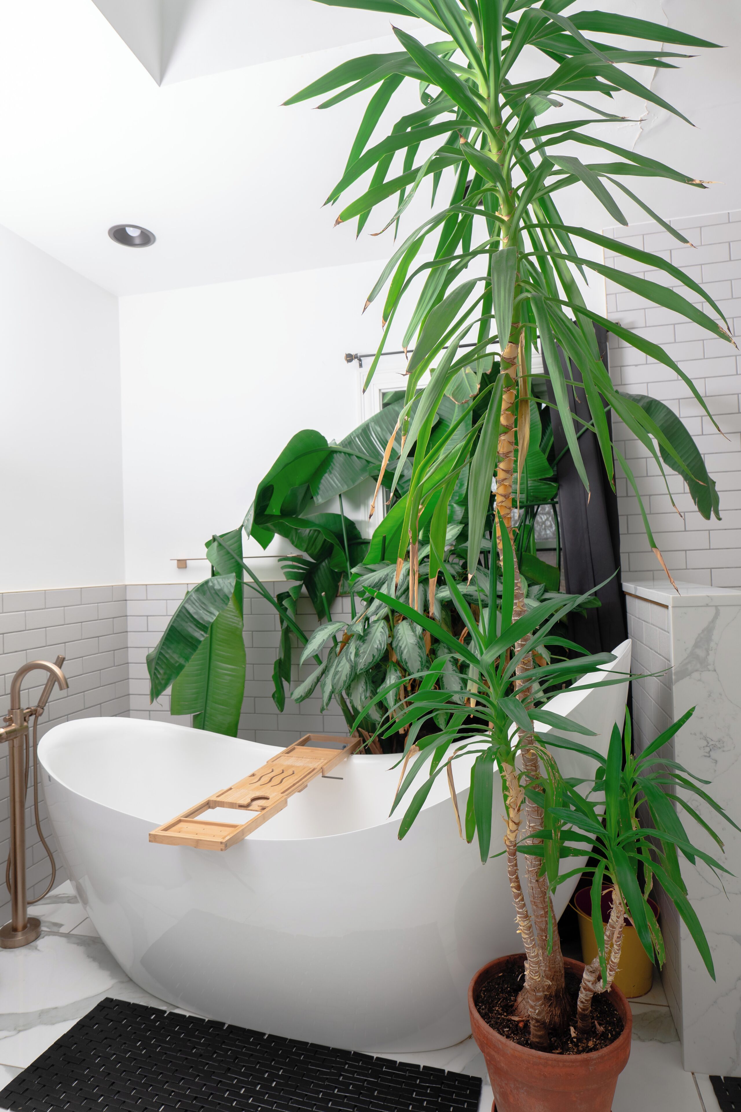 Une salle de bain avec une baignoire blanche, une plante en pot et un plateau en bois.