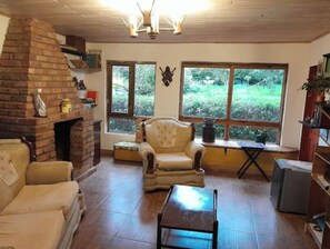 Smart TV, fireplace, DVD player, books