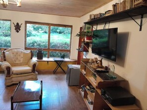 Smart TV, chimenea, reproductor de DVD y libros 