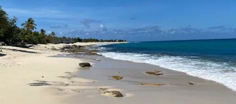 Lovely, romantic cottage in safe Terres Basses