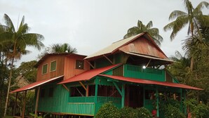 A two-story house with a green and red exterior, surrounded by lush greenery and palm trees.