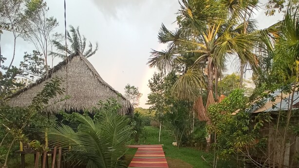 A pathway leading to a thatched-roof structure surrounded by lush greenery.