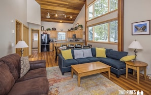 TV, fireplace, video library
