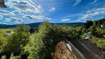 Superior Apartment, 3 Bedrooms, Kitchen, Mountain View | Exterior