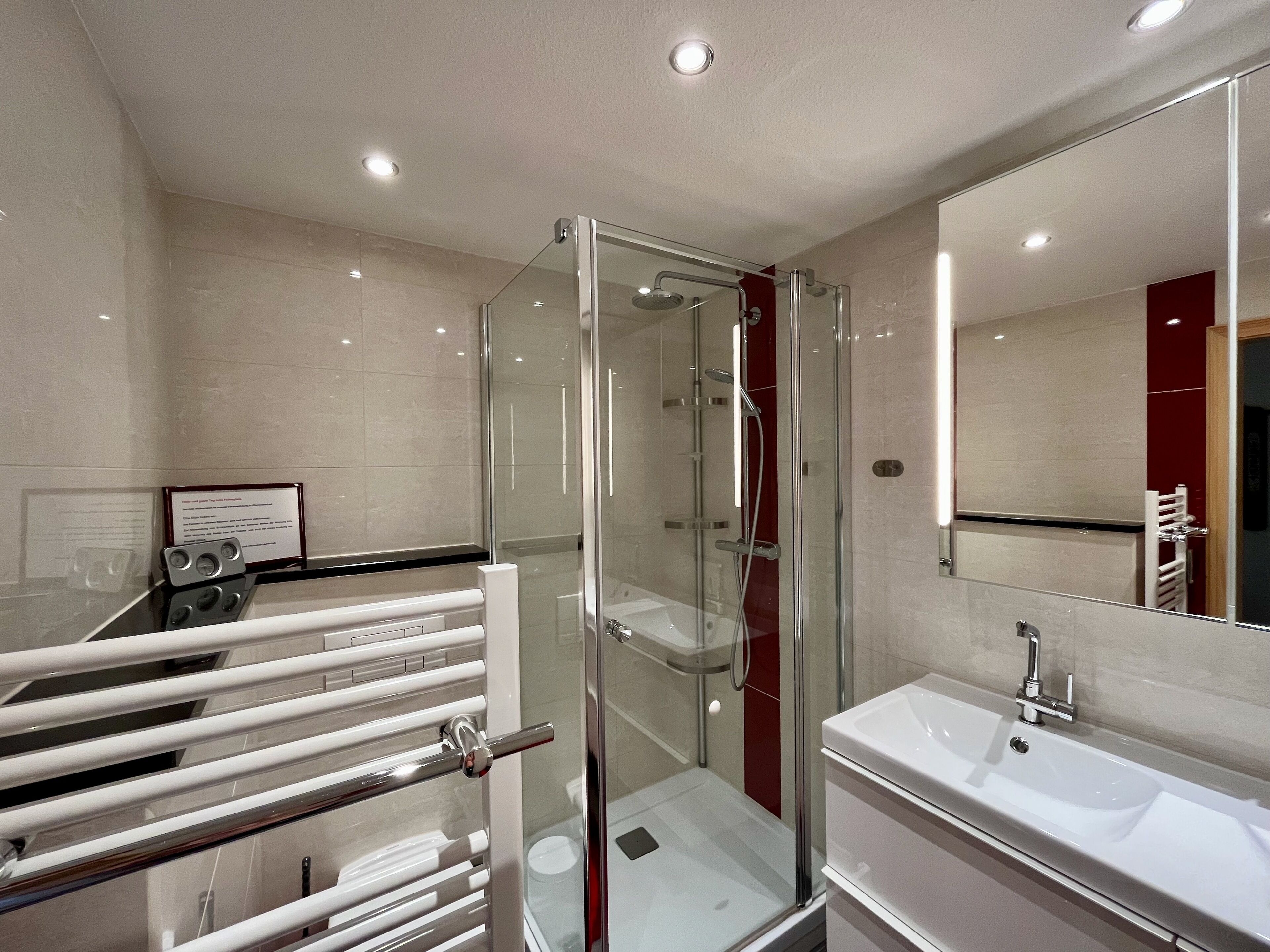 Junior-Apartment, Küche, Bergblick | Dusche im Bad
