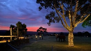 Un árbol iluminado con luces, un campo cubierto de césped y una puesta de sol al fondo.