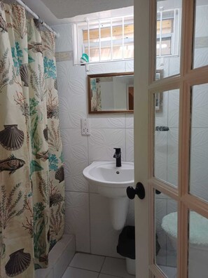 A bathroom with a white sink, a mirror above it, and a shower curtain with a marine life pattern. - Village Comfort  (Belmont)