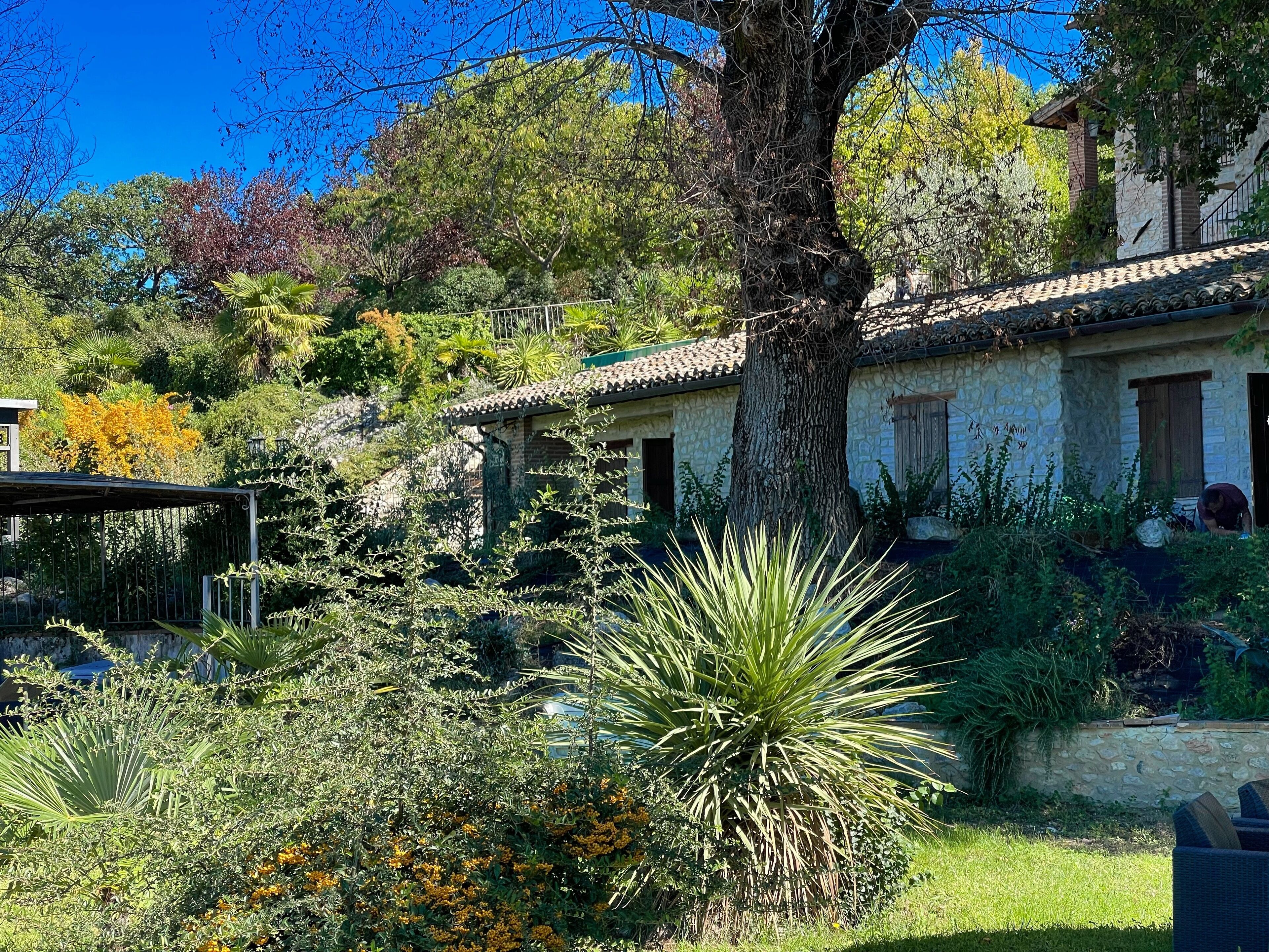A rustic stone building with a tiled roof, surrounded by lush greenery and a variety of plants.