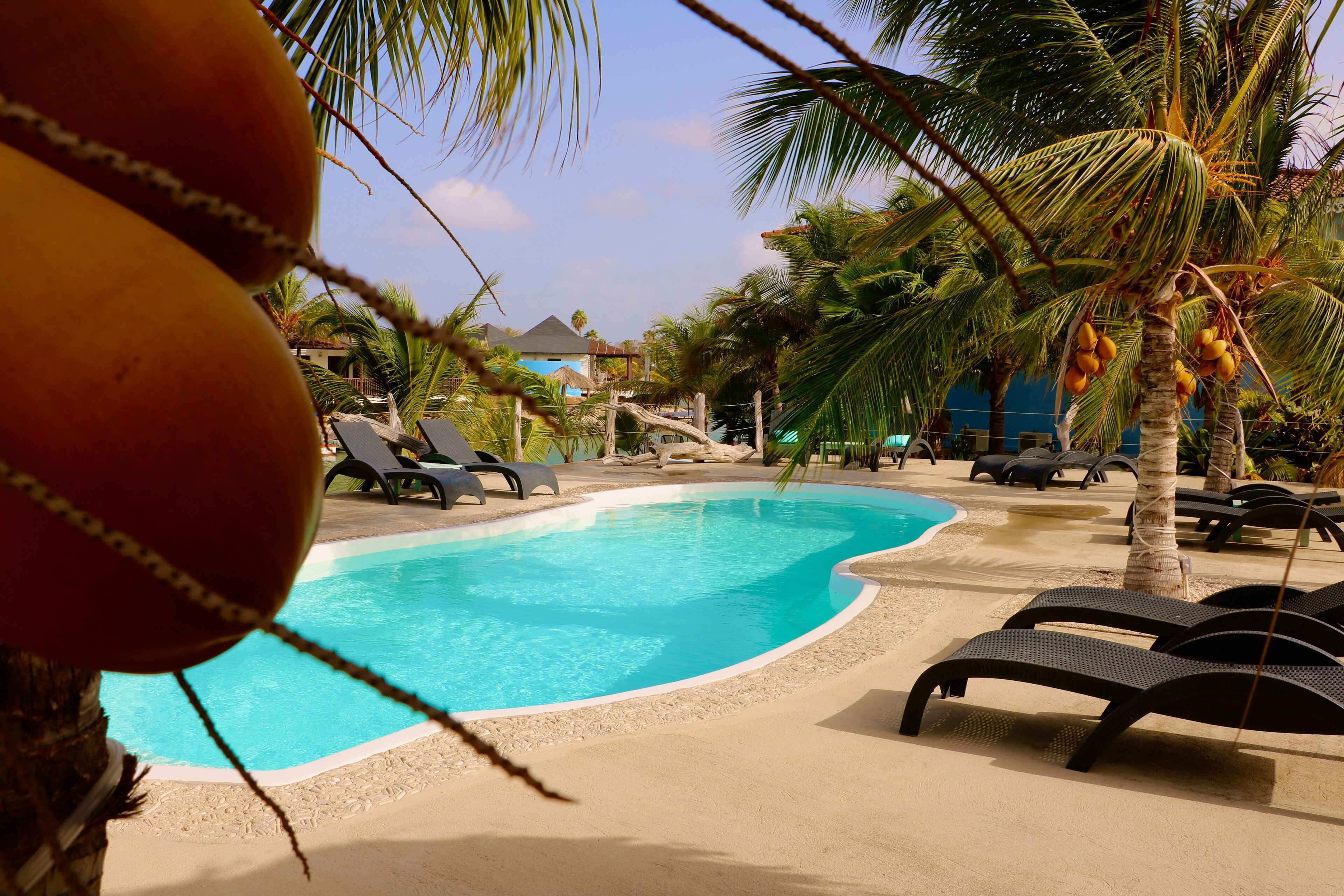 Ein Poolbereich mit Liegestühlen, Palmen und einem klaren, blauen Pool.