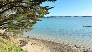 Una spiaggia con acqua cristallina, una riva sabbiosa e un grande albero che offre ombra.
