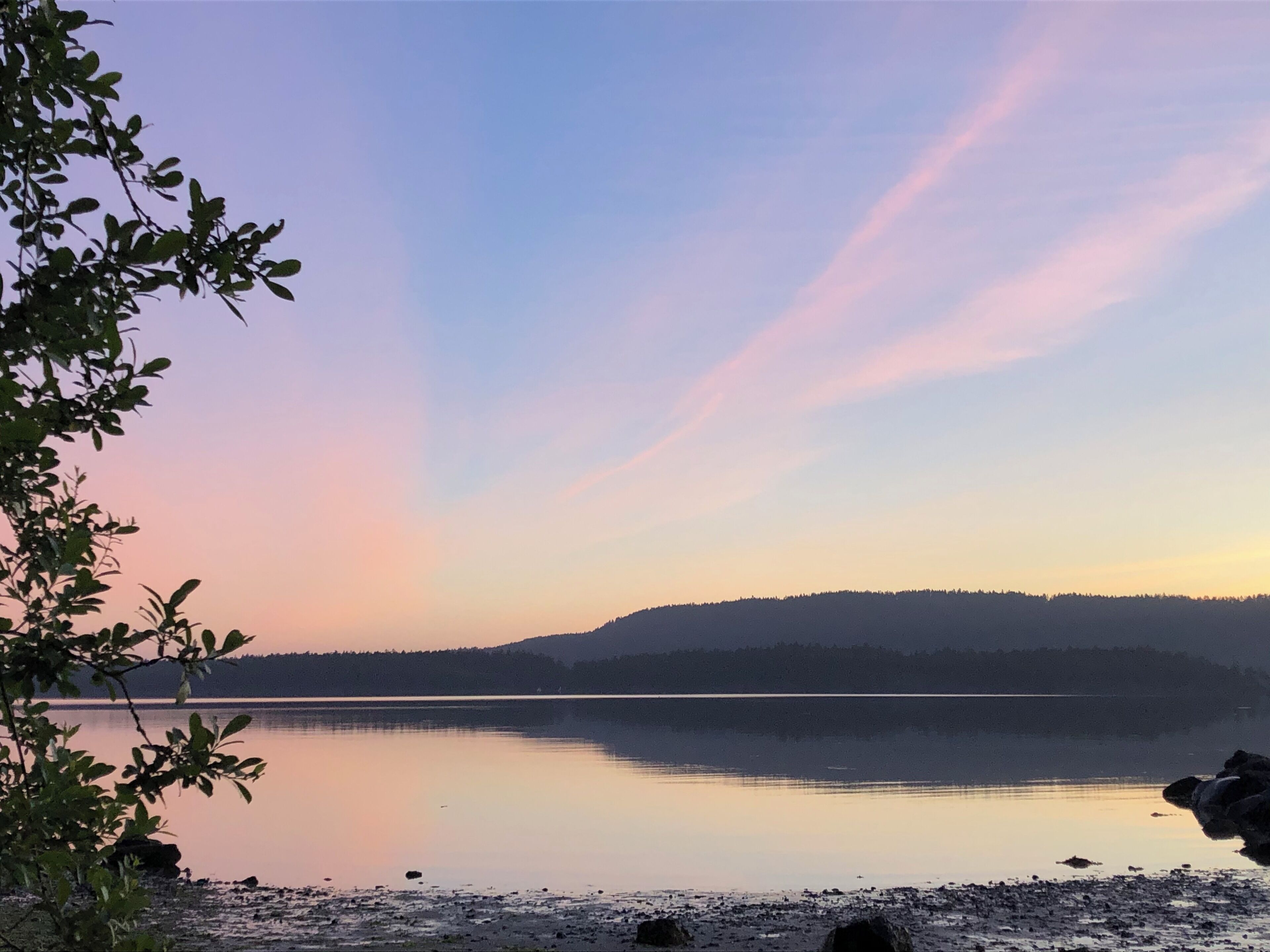 A calm lake with a distant forested hill, clear sky, and some vegetation in the foreground.