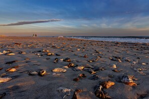 Plage, chaises longues
