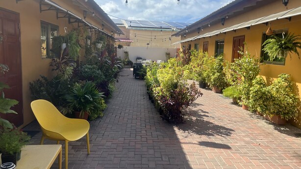 A courtyard with a paved walkway, potted plants, and outdoor furniture. - 5 minutes from eagle beach as an apartment with kitchen and (Noord)