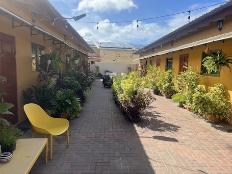 Terrace/patio. 5 minutes from eagle beach as an apartment with kitchen and