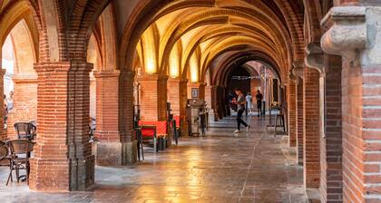 Magnolia magnifique T2  entiÚrement rénové