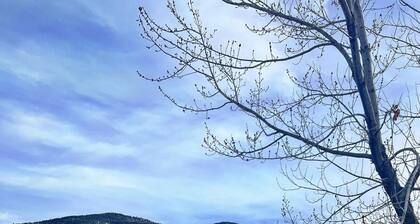 Spacious cozy home, minutes from adventure both in Red River & Taos.