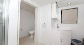 Bathroom features a toilet, sink, and mirror.