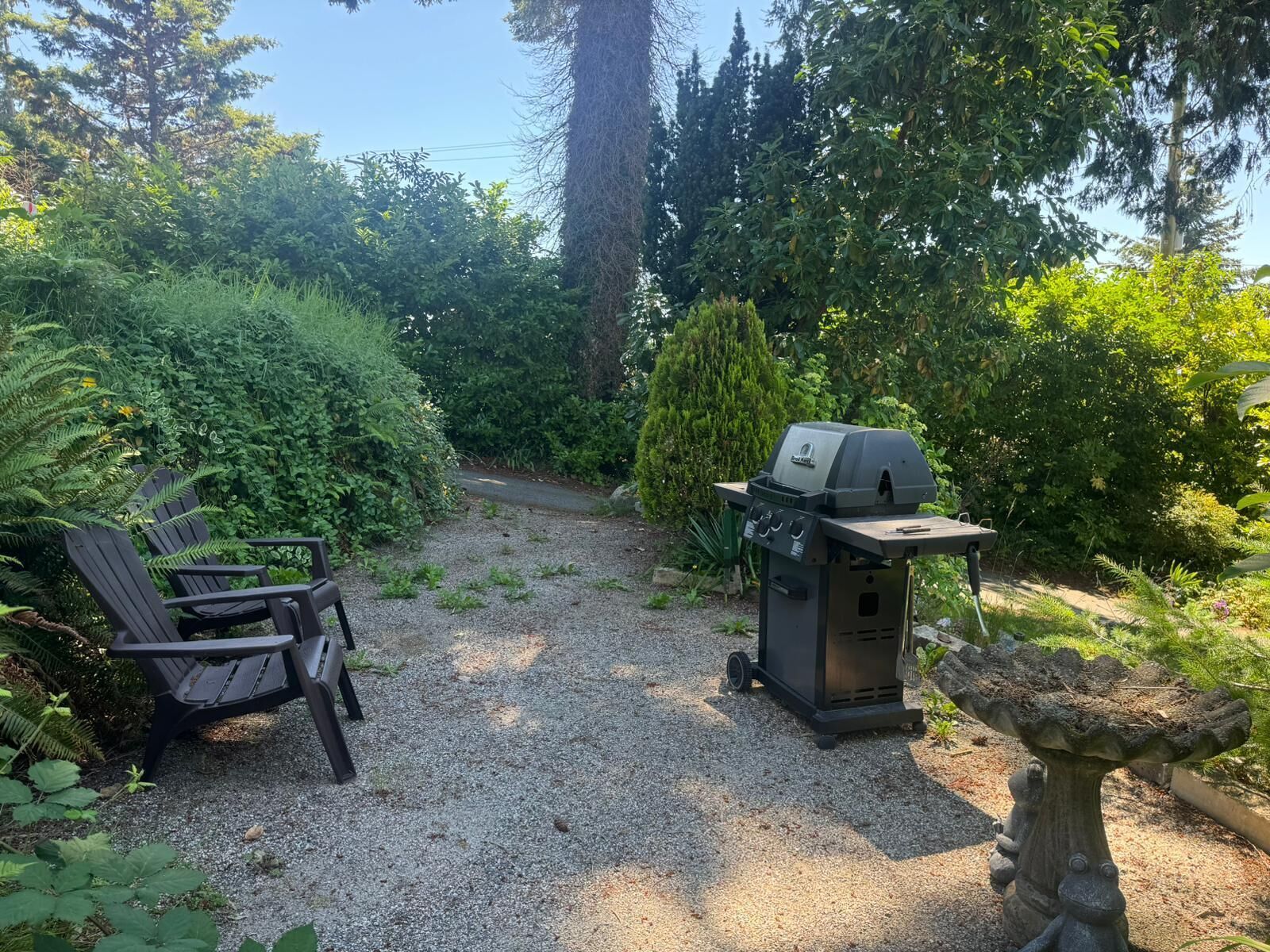 A gravel path leading to a barbecue grill and Adirondack chairs in a garden setting.